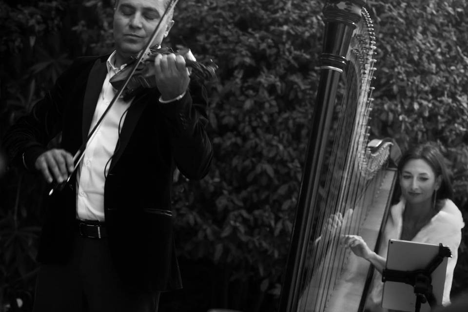 Alexandre Shirinyan - Violoniste