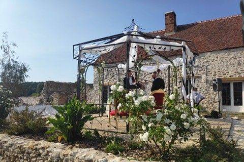 La pergola en beauté