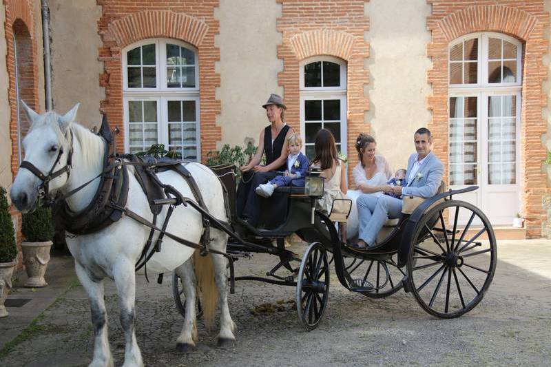 Calèche mariage 1 cheval