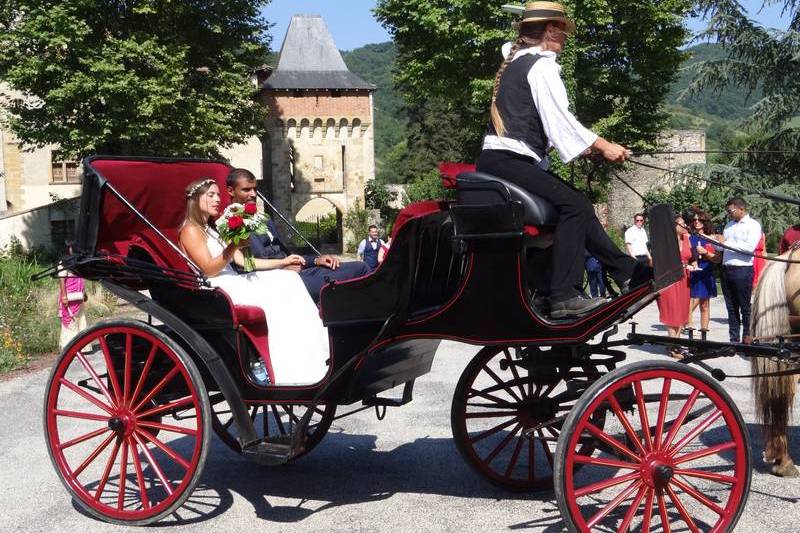 Calèche mariage 2 chevaux