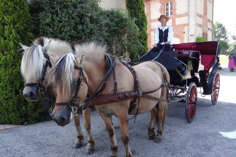 Calèche mariage 2 chevaux