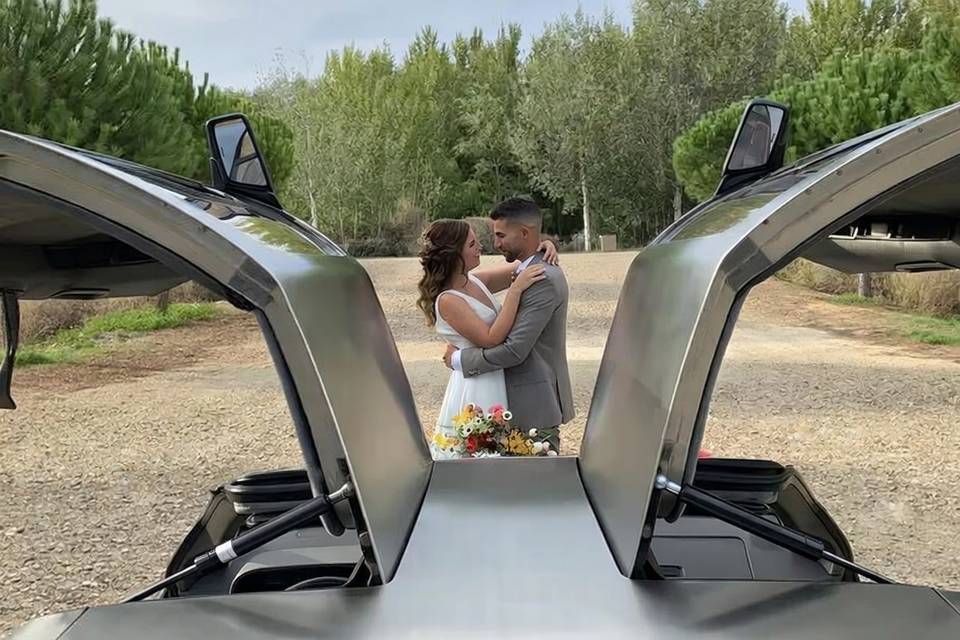 Amoureux et portes papillon