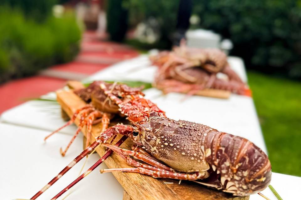 Langoustes fraiches