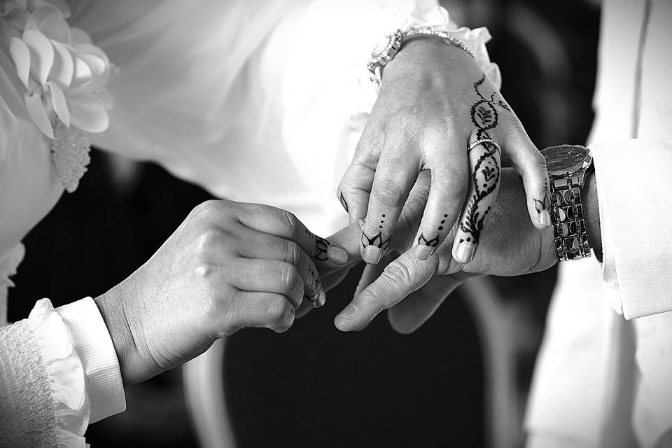 Chris POLI Photography