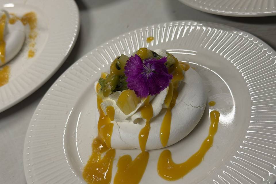 Palvova exotique coco