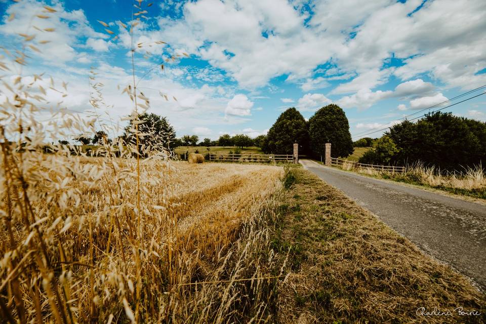 Chemin privé vers portail