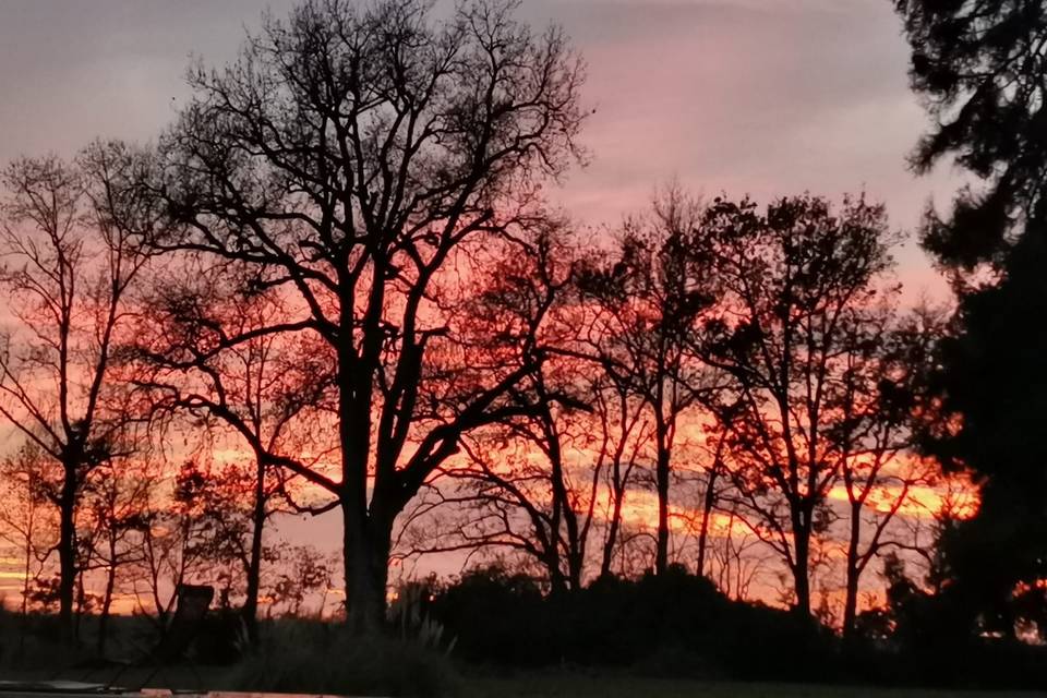 Couleurs non retouchées