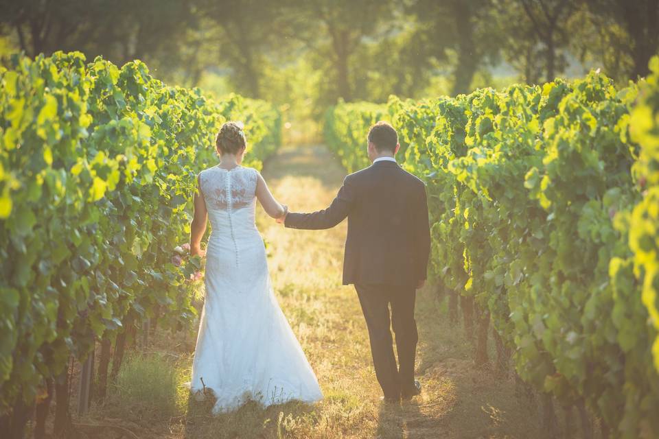 Photos dans les vignes