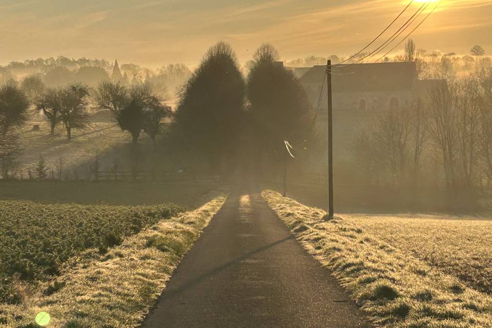 Brume matinale