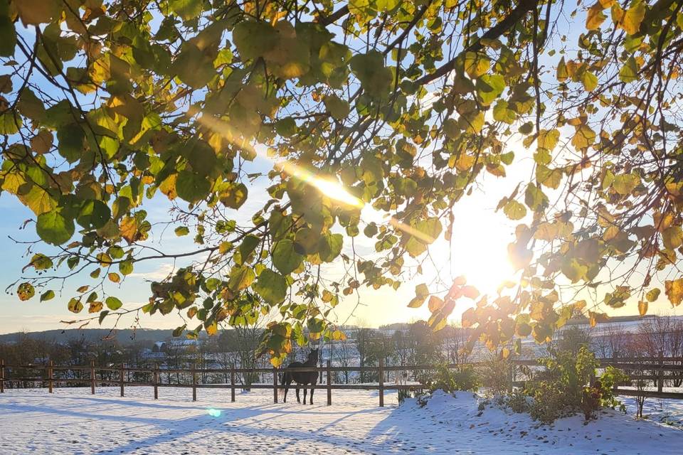 Grange sous la neige