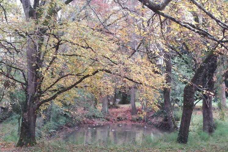 Marre en pleine nature