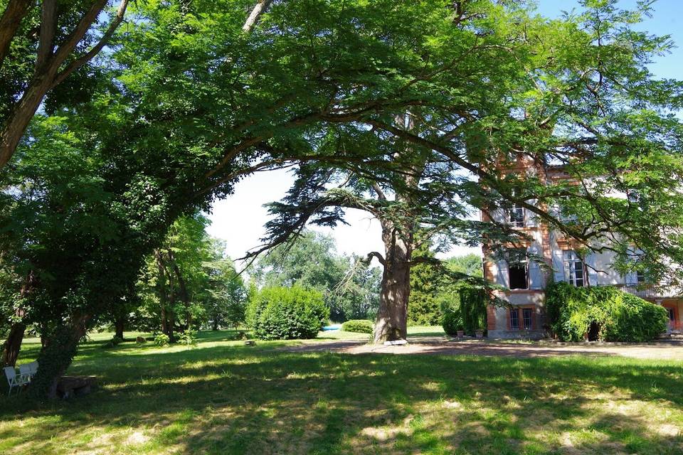 Acacias