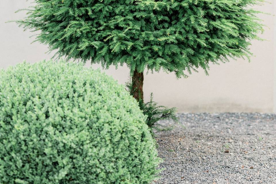 Jardins du domaine