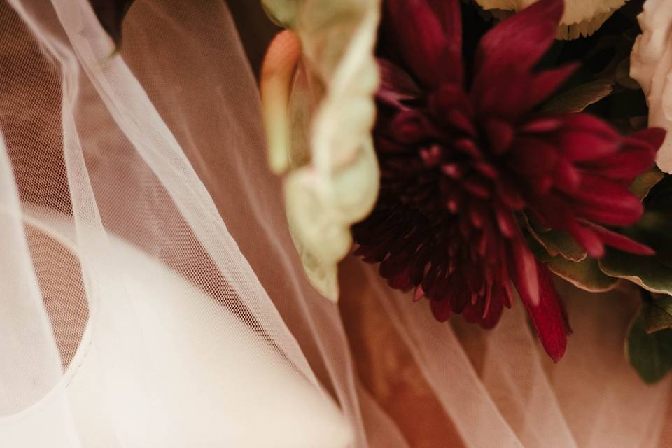 Emilie Pickersgill