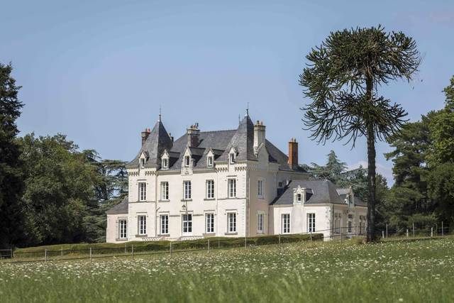 Château dans le parc