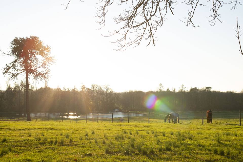 Parc du domaine