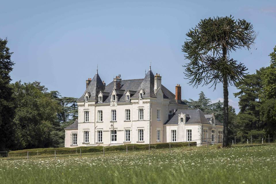 Château dans le parc