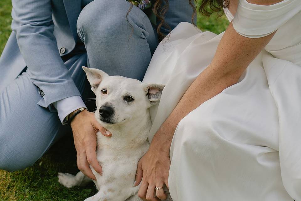 Mariés et chien