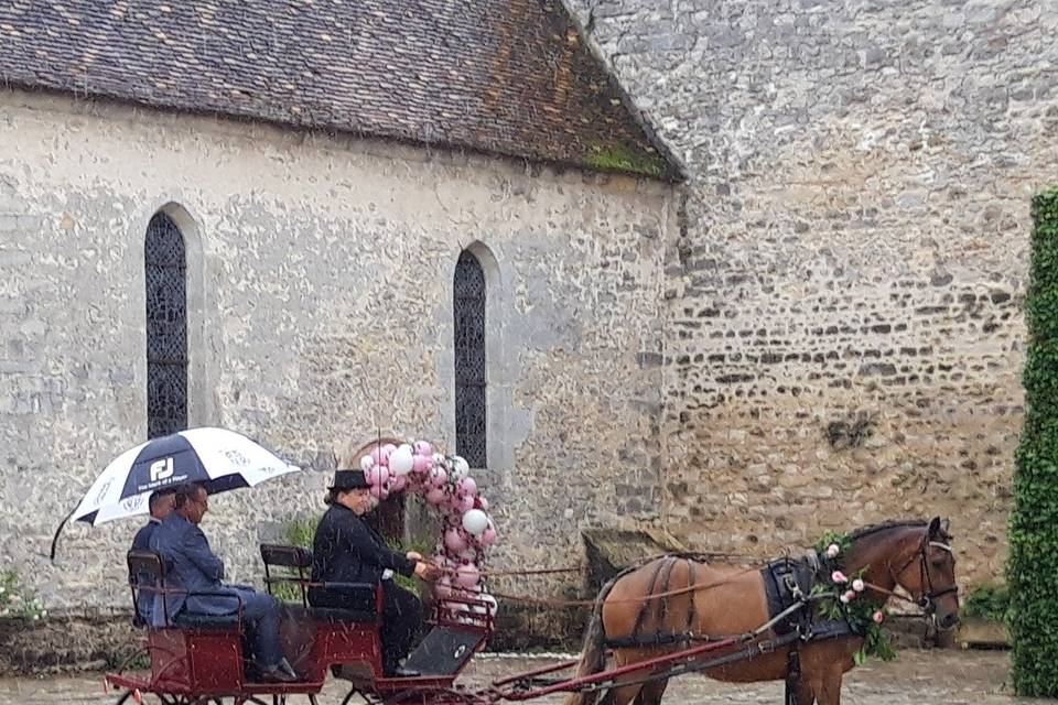 Les mariés & les temoins