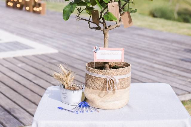 Rituel de l'arbre à voeux
