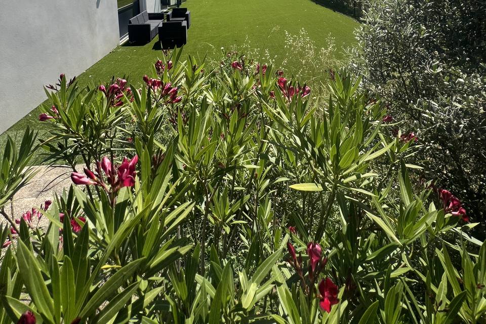Terrasse Salle PRESTIGE