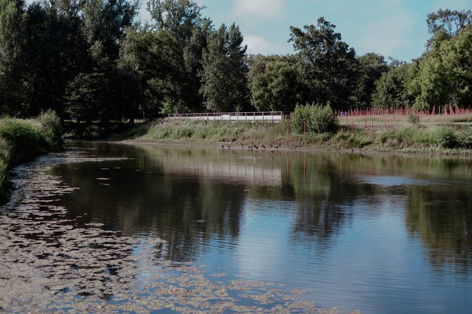 Etang du parc