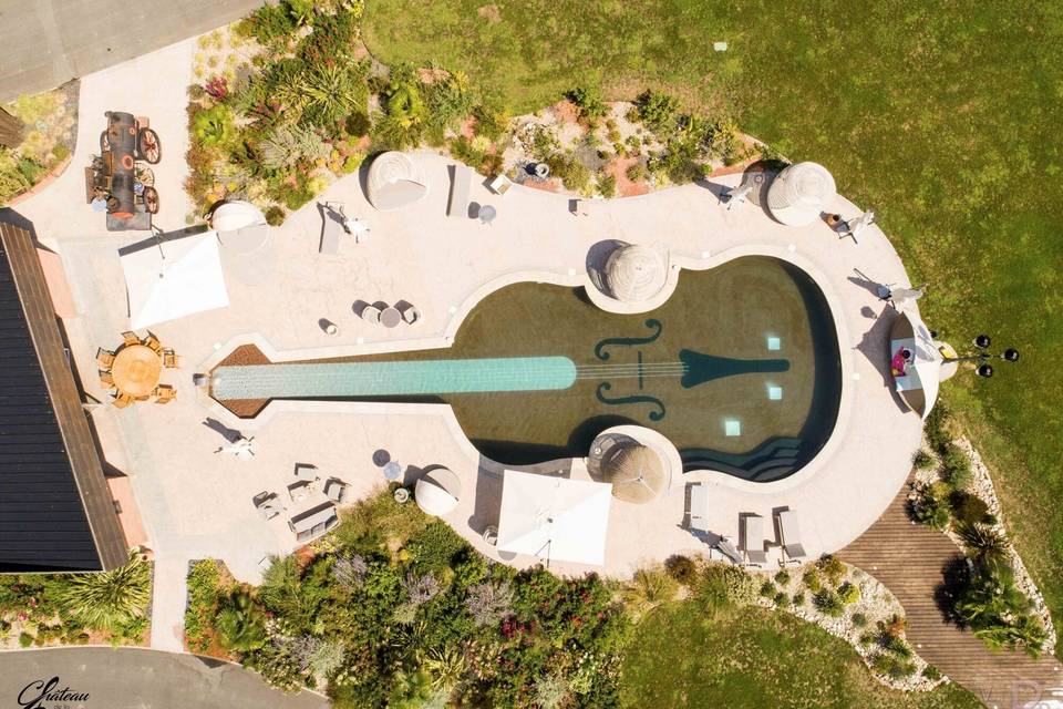 PISICNE VIOLON
