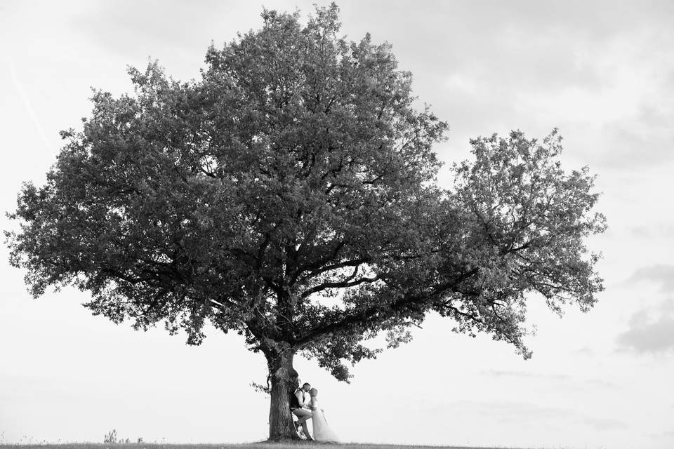 Martin Taburet Photographe