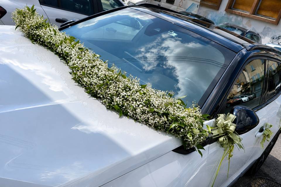 Capot de voiture