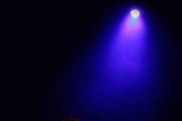 SebioJazz on Stage
