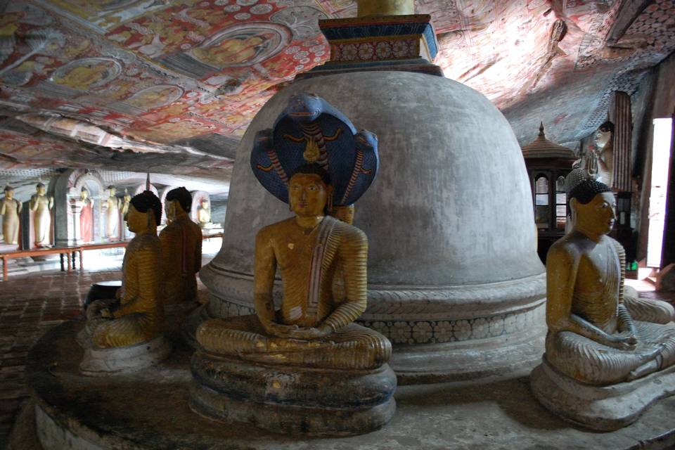 Circuit culturel Sri Lanka