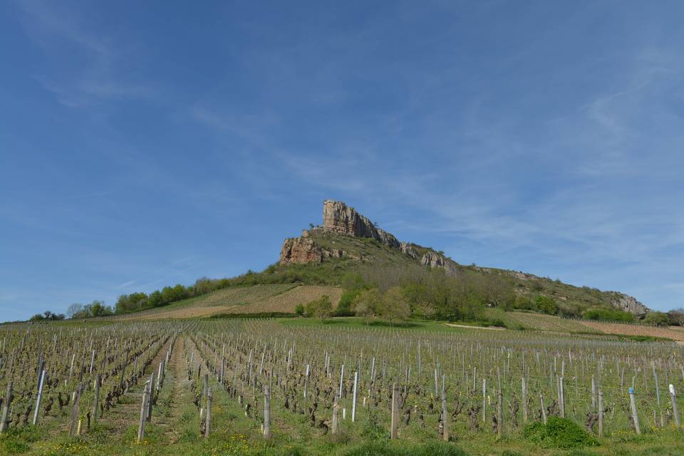 Roche de solutré