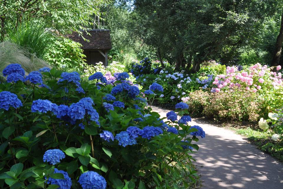 Jardín du peintre A van Beek