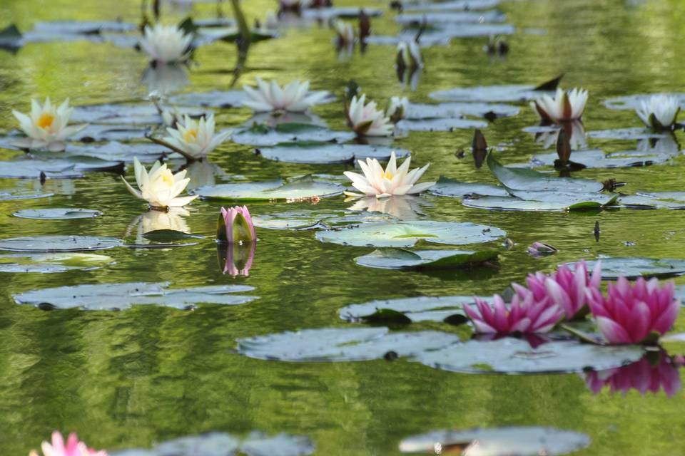 Jardín du peintre A van Beek