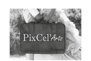 Pixcels Arts logo