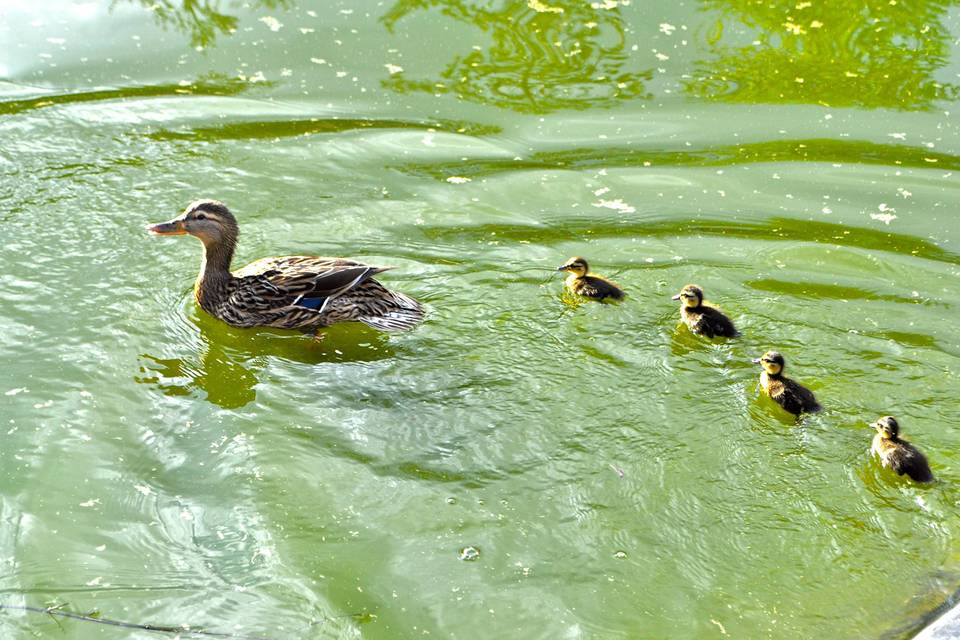 L'environnement paisible du Do