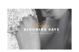 Bloomingdays Logo