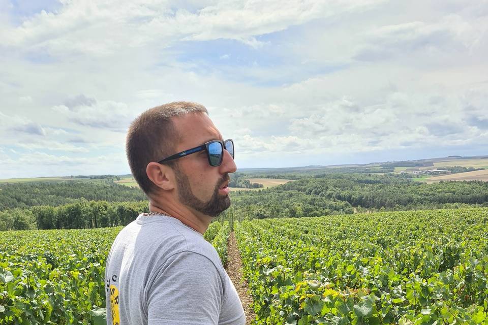 Emilien et la vigne