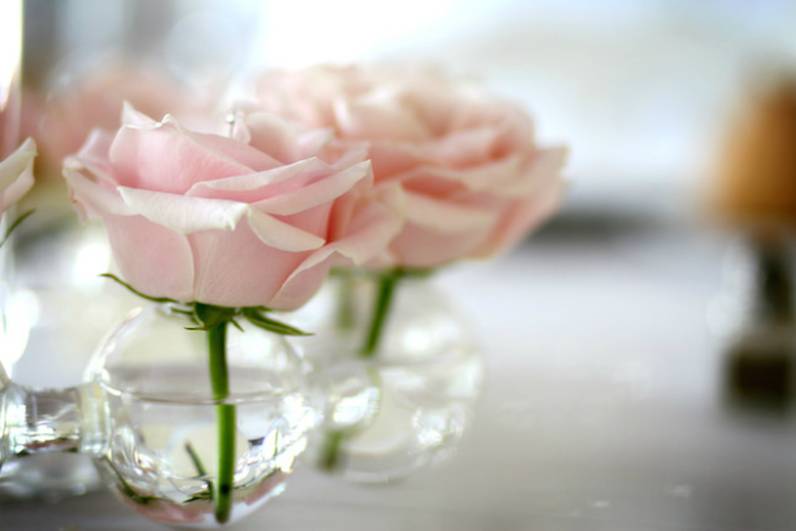 Mariage rose