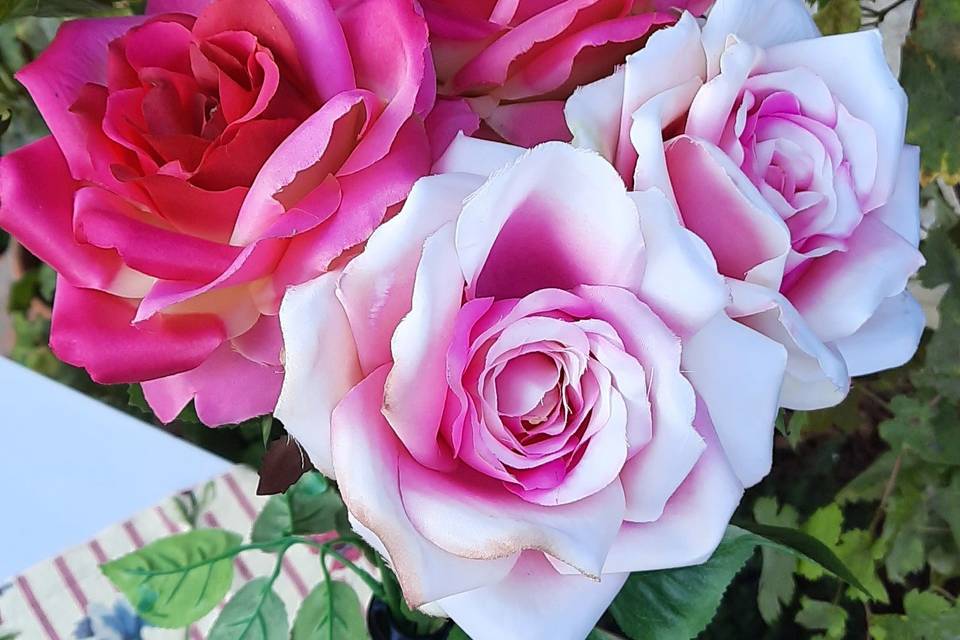 Grandes tiges de roses
