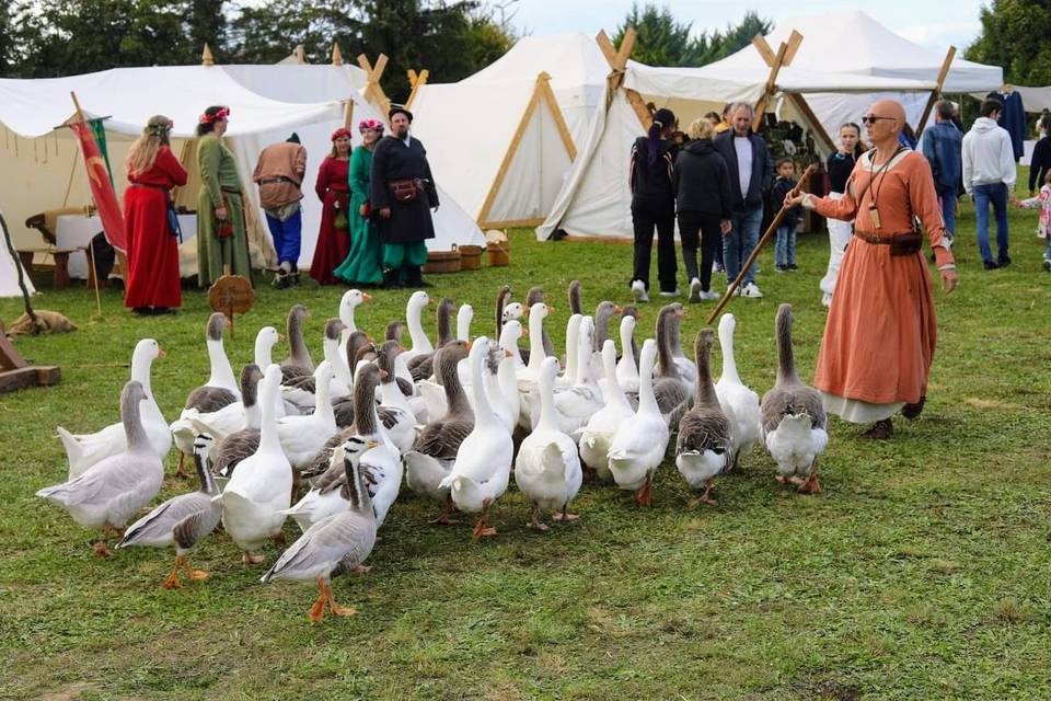 Spectacle animaliers