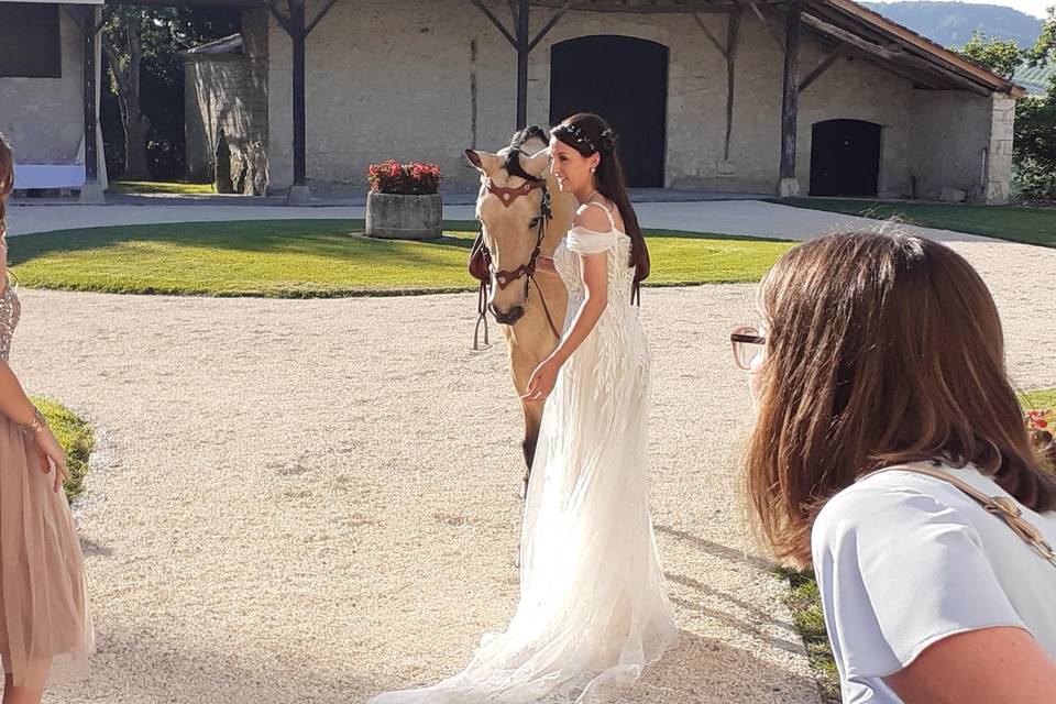 Belle cavalière