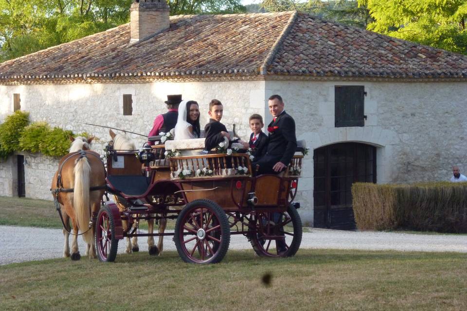 Le tour d'honneur