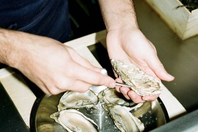 Plateau de fruit de mer