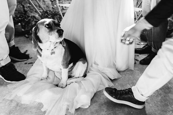 Duo de photographes de mariage