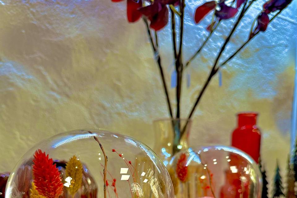 Cloche séchée/stabilisé