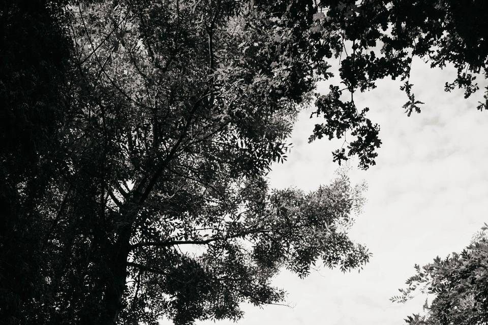 31/08