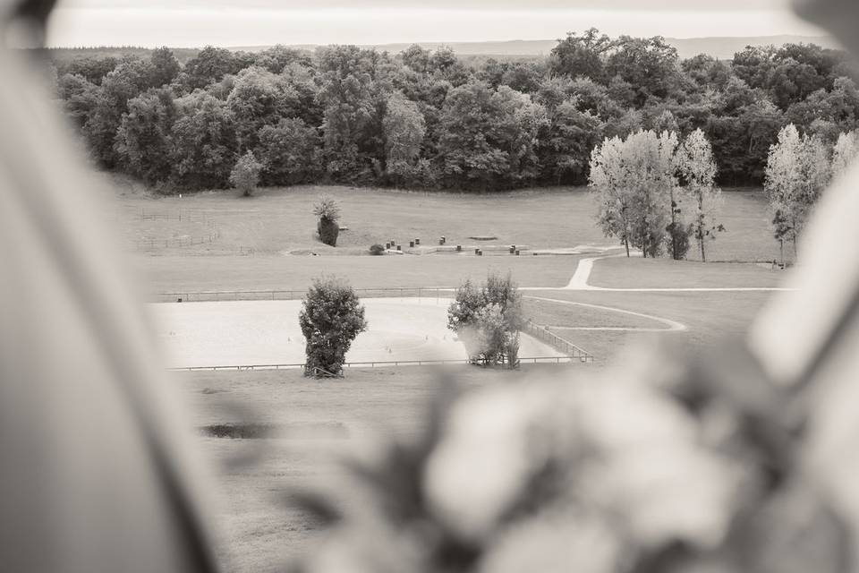 Le paysage