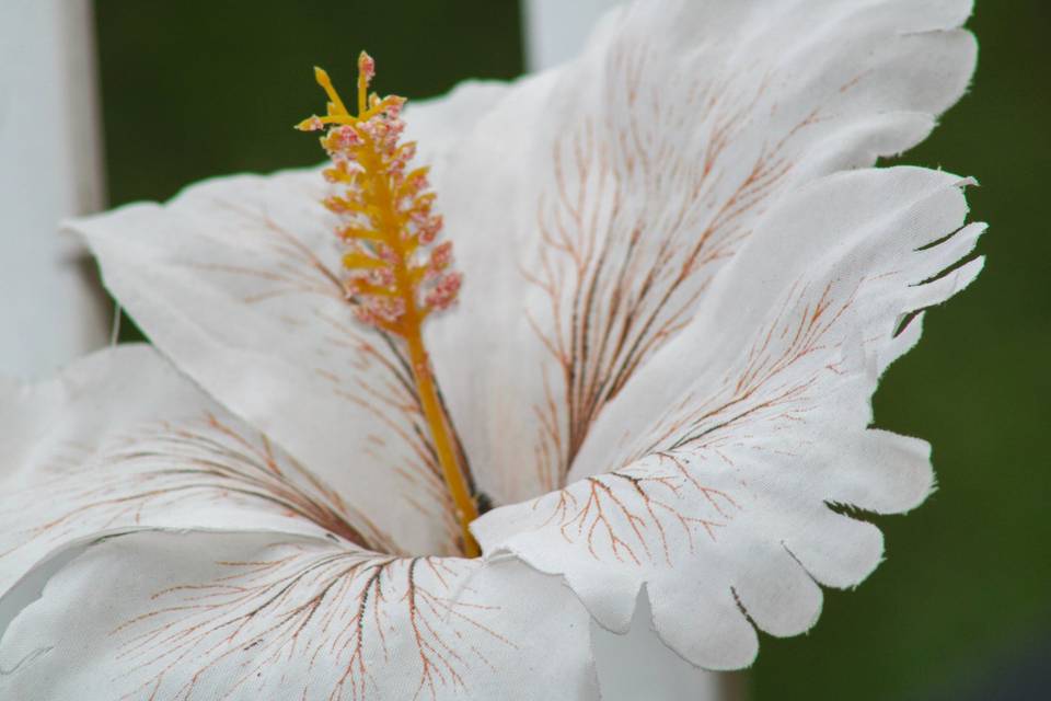 Douceur florale