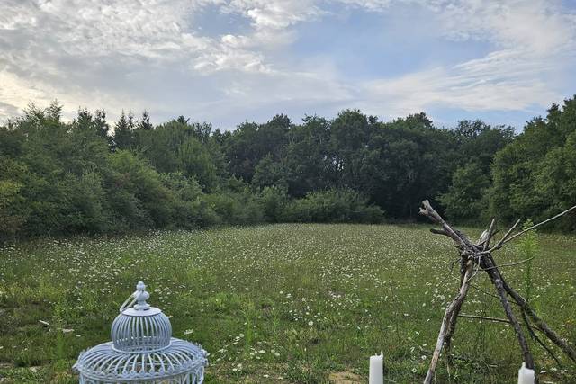Clairière et décor naturel